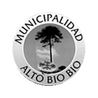 Ilustre Municipalidad de Alto Bio Bio